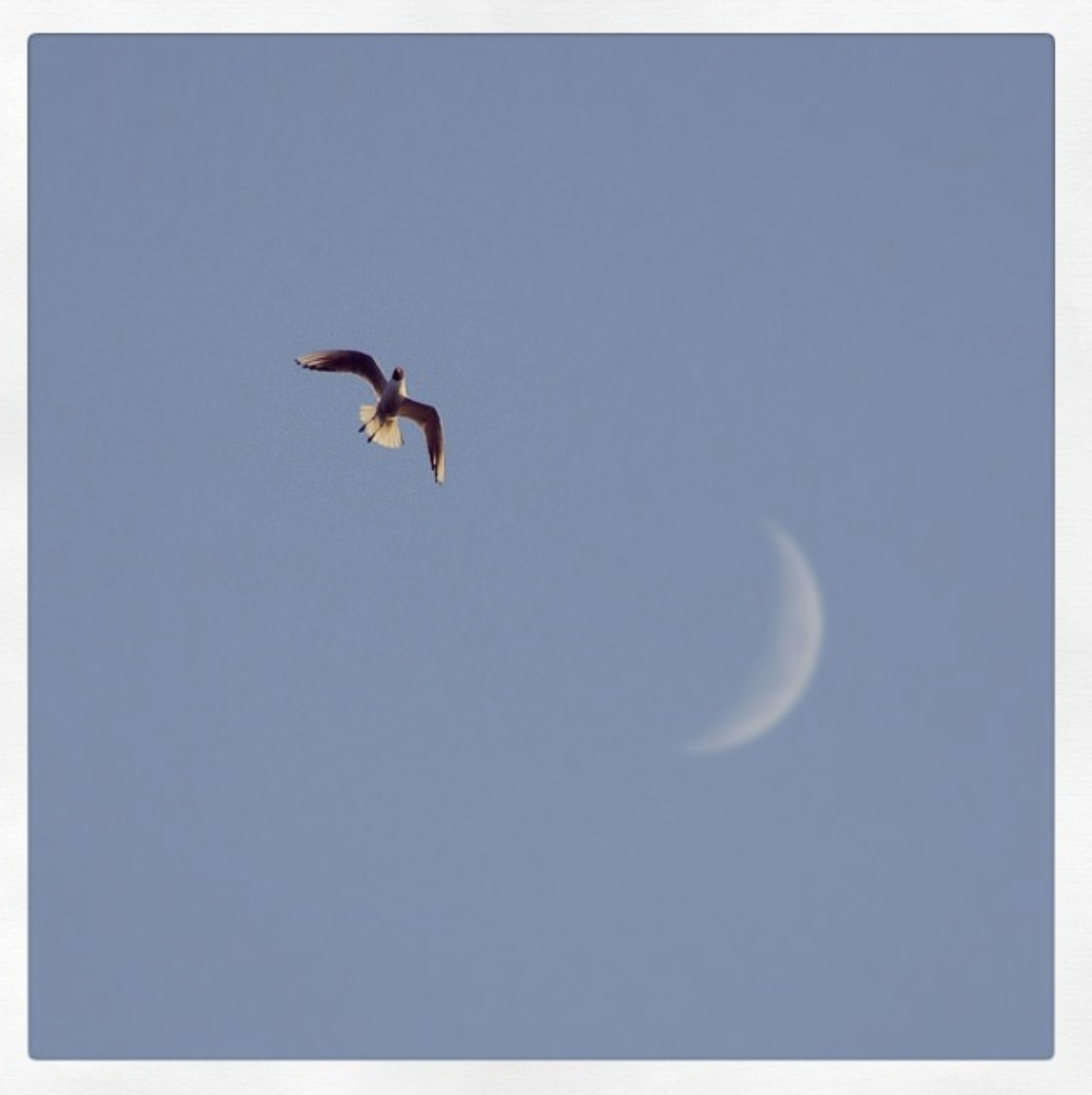 Metodología transformadora